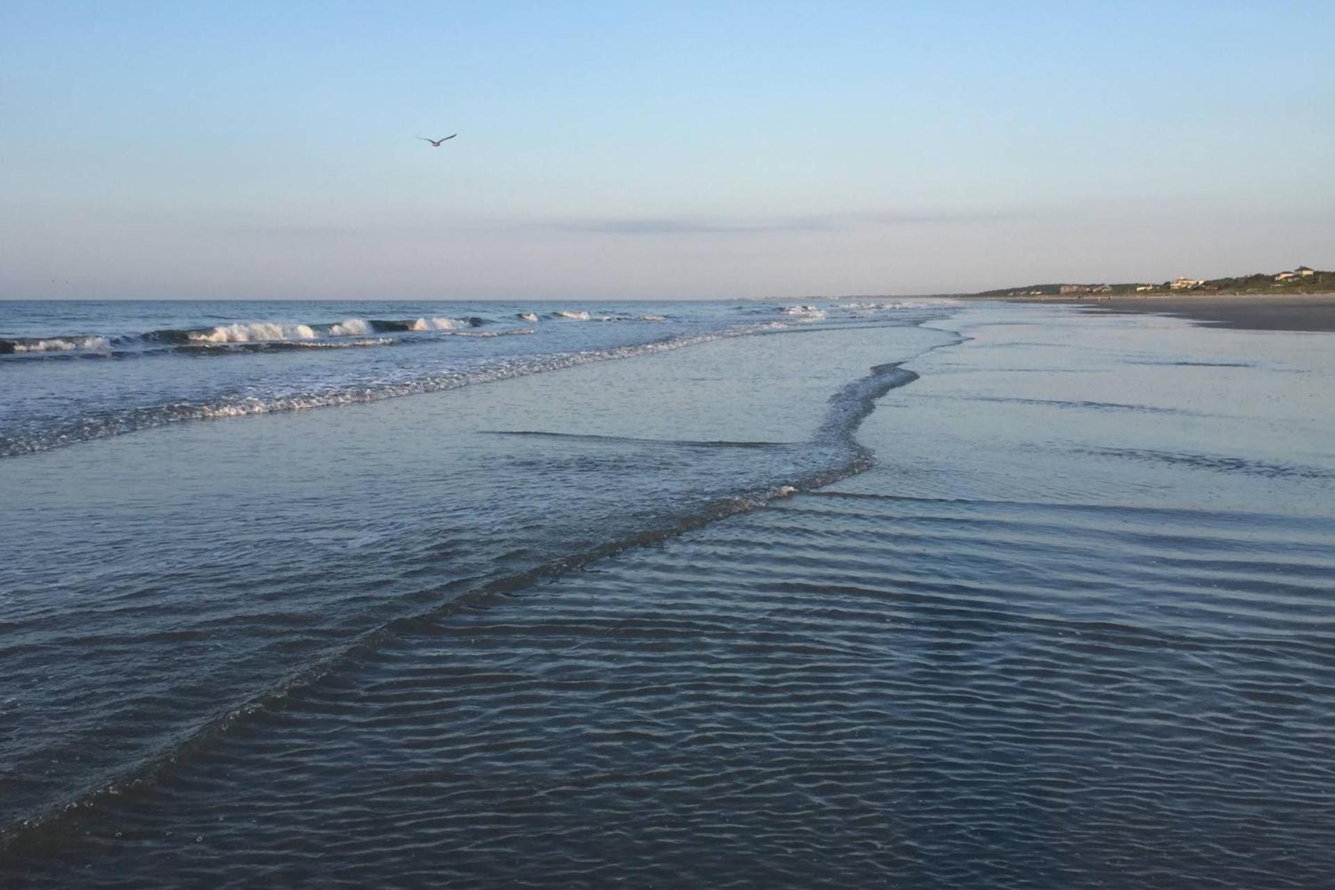 The Blue Pearl Vila Kiawah Island Exterior foto